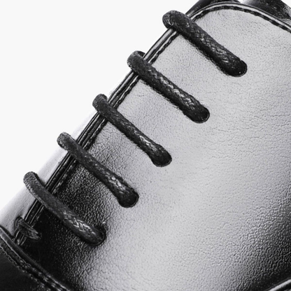 Monaco Classic Leather Shoes with Modern Finish